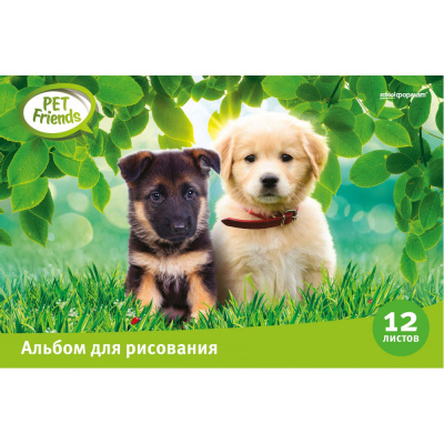 Тетрадь для рисования 12 листов Тетрадь для рисования 12 листов