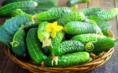 Огурцы свежие